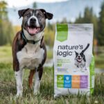 Nature's Logic Dog Food