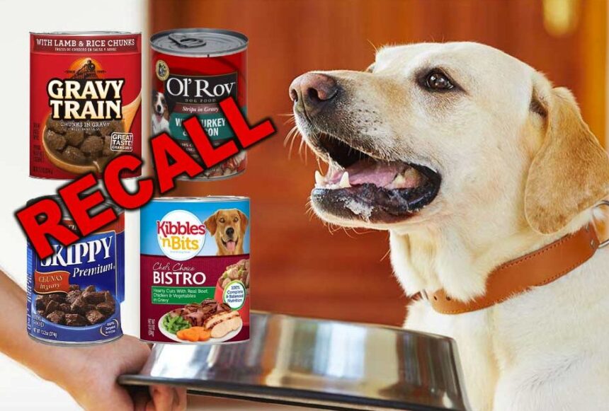 jinx dog food recall