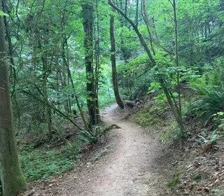 marquam nature park