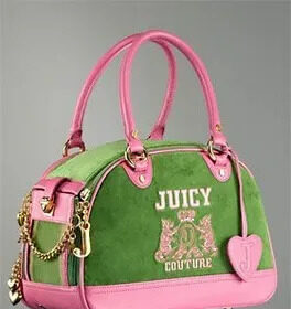 juicy couture makeup bag